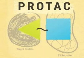 热点前沿:PROTAC初露锋芒，SD-36对抗肿瘤效果卓越