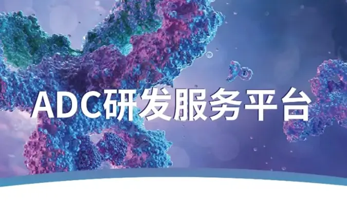 一文读懂：抗体偶联药物（ADC）