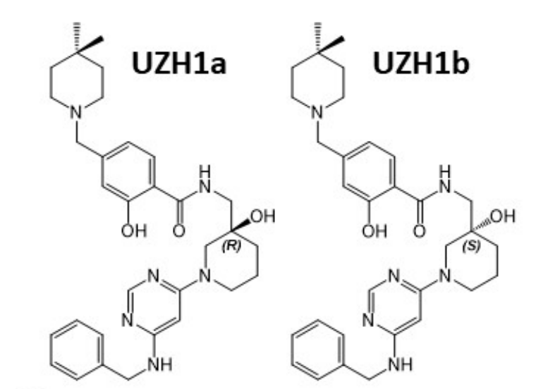 研究人员报告了一种具有细胞渗透性的选择性METTL3纳摩尔抑制剂UZH1a，作者感谢FG电子合成了UZH1a和UZH1b